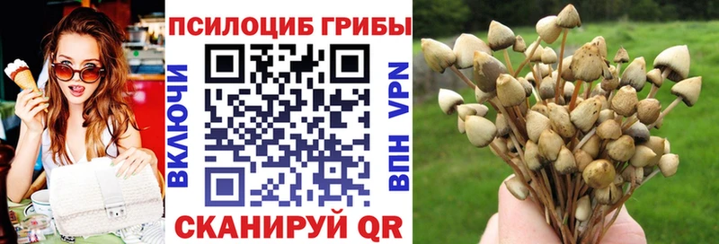 мега ТОР  цены   Закаменск  площадка как зайти  Галлюциногенные грибы Cubensis 